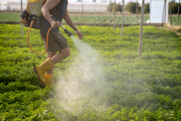 Best Commercial Pest Control Services  in Fayette, OH