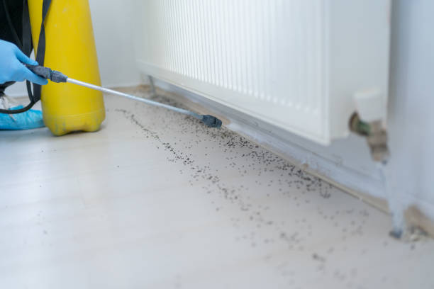Best Pest Control Treatment  in Fayette, OH